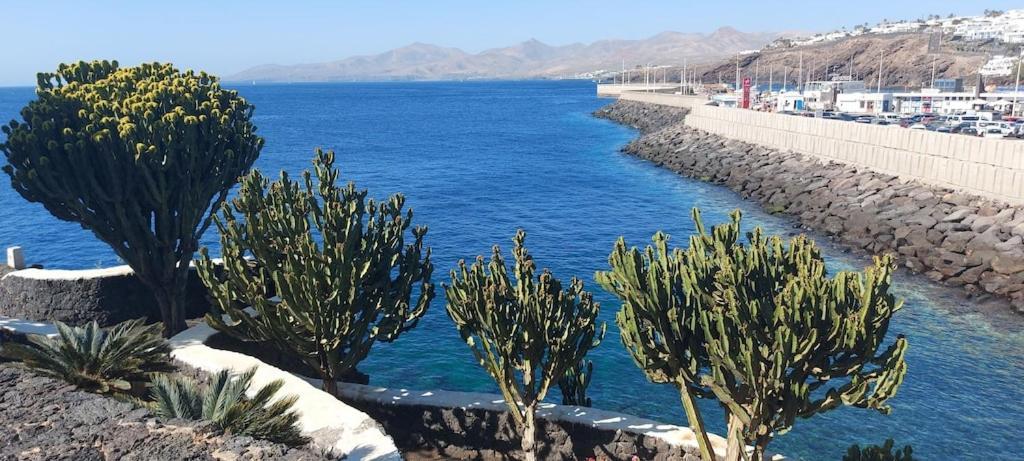 Oceanview Apartment Puerto del Carmen  Dış mekan fotoğraf